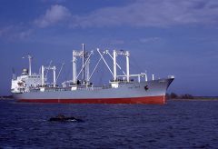 Thumbnail Image for Free Wave