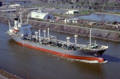 Thumbnail Image for Golden Hope 8