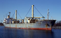 Thumbnail Image for Krissa