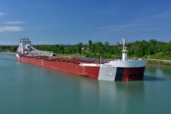 Thumbnail Image for Great Republic