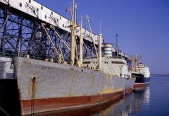 Thumbnail Image for Nortemar oncontextmenu=