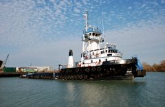 Thumbnail Image for John Spence