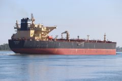 Thumbnail Image for Fulmar