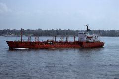 Thumbnail Image for Shelley