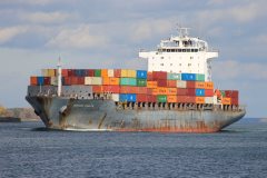 Thumbnail Image for Gerhard Schulte