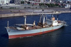 Thumbnail Image for Celine Metz