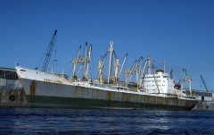 Thumbnail Image for General Z. Dogan