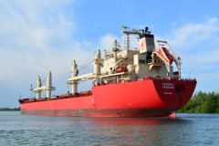 Thumbnail Image for Federal Freedom oncontextmenu=