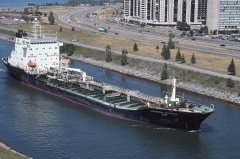 Thumbnail Image for Lagoven Guanoco