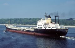 Thumbnail Image for Despina A