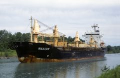 Thumbnail Image for Weston