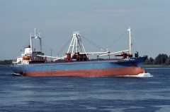 Thumbnail Image for Sea Pearl