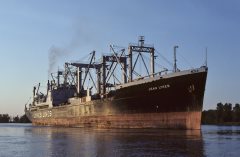 Thumbnail Image for Jean Lykes