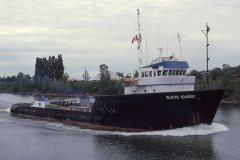 Thumbnail Image for Majestic Seahorse oncontextmenu=