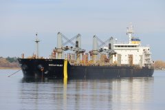 Thumbnail Image for Mireille Selmer oncontextmenu=