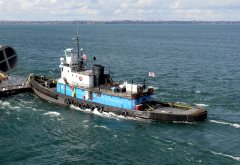 Thumbnail Image for John M. Selvick