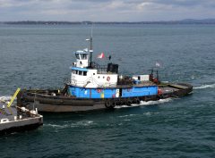 Thumbnail Image for John M. Selvick