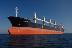 Thumbnail Image for Apollon