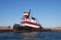 Thumbnail Image for Vigilant I