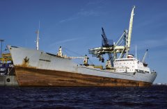 Thumbnail Image for Novoaltaysk