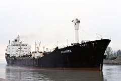 Thumbnail Image for Svangen