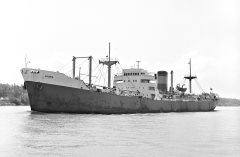 Thumbnail Image for Loukia oncontextmenu=