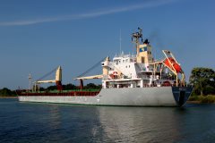 Thumbnail Image for Greta C