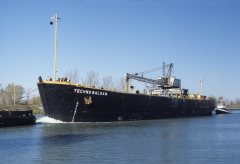 Thumbnail Image for Techno Balsam