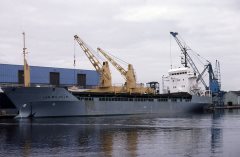 Thumbnail Image for Jan Wilhelm