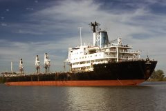 Thumbnail Image for Ari oncontextmenu=