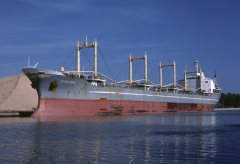 Thumbnail Image for Strymon oncontextmenu=