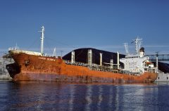 Thumbnail Image for Shoun Olympia oncontextmenu=