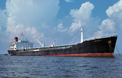 Thumbnail Image for British Ivy oncontextmenu=