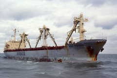 Thumbnail Image for Ikan Tenggiri oncontextmenu=