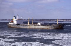 Thumbnail Image for Nordic oncontextmenu=