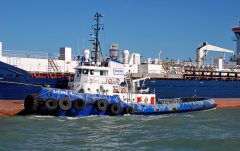 Thumbnail Image for André H. oncontextmenu=