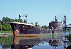 Thumbnail Image for Aldora oncontextmenu=