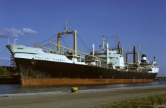 Thumbnail Image for Kalliopi Pateras oncontextmenu=