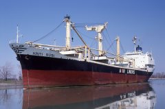 Thumbnail Image for Kriti Rubi oncontextmenu=