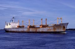 Thumbnail Image for Puggi