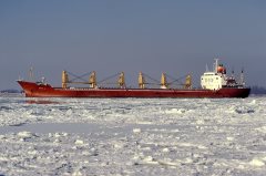 Thumbnail Image for Sara J oncontextmenu=