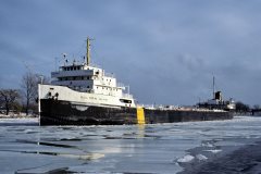 Thumbnail Image for Golden Hind