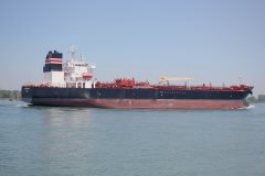 Thumbnail Image for Nord Vanguard