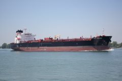 Thumbnail Image for Nord Vanguard