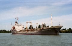 Thumbnail Image for Golden Daiei