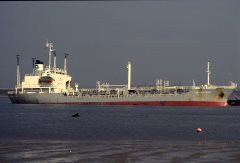 Thumbnail Image for Golden Sanwa