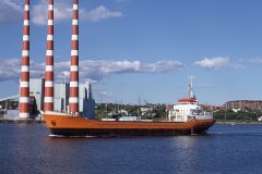 Thumbnail Image for Lady