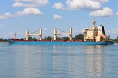 Thumbnail Image for Nordic Alianca