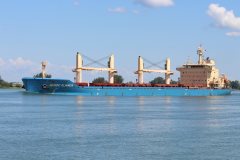 Thumbnail Image for Nordic Alianca