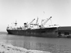 Thumbnail Image for Inver